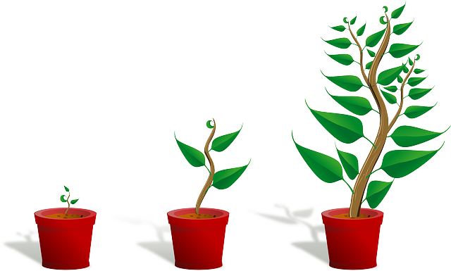 croissance grace à l'IT