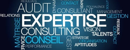 Image avec des mots expertise, audit, conseil, réseaux